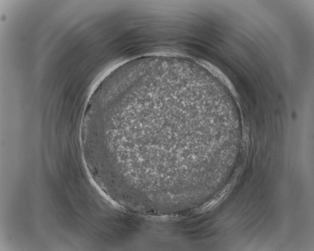 X0000085070855200704021409