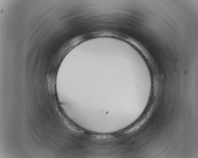 X0000085070857200704021409