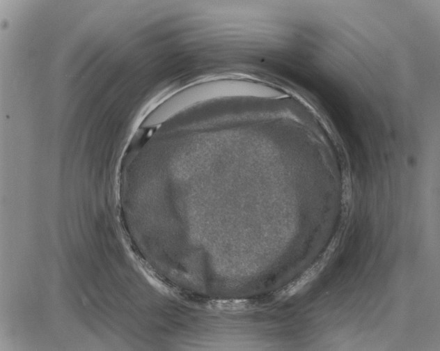 X0000085070858200704021409