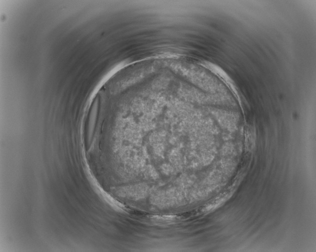 X0000085070859200704021409