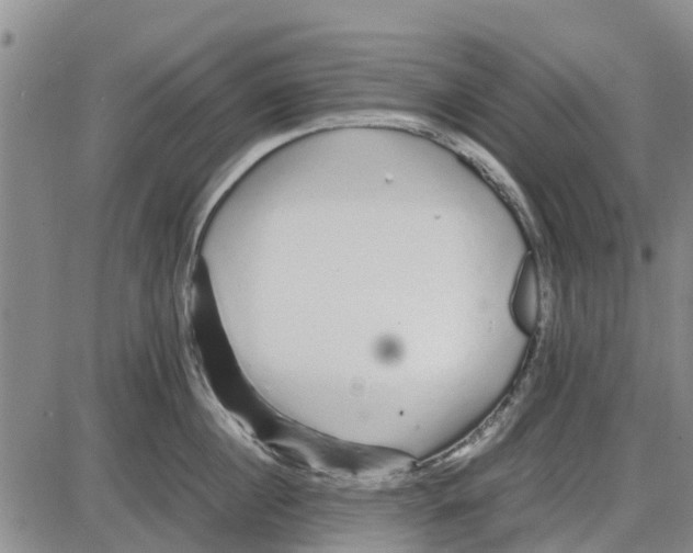 X0000085070860200704021409