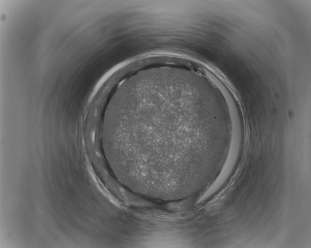 X0000085070862200704021409