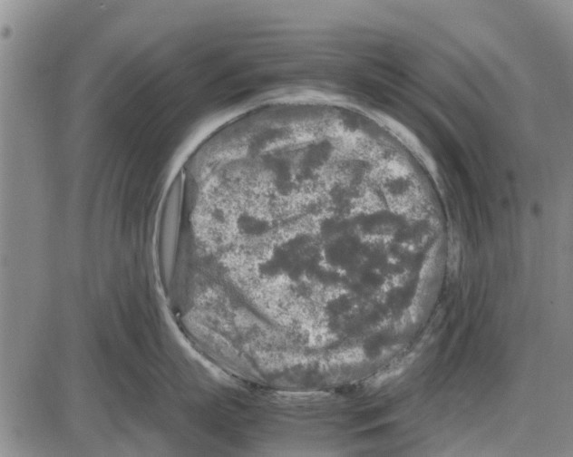 X0000085070863200704021409