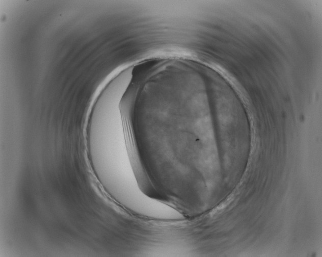 X0000085070864200704021409