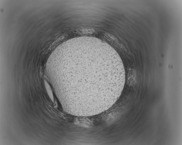 X0000085070866200704021408