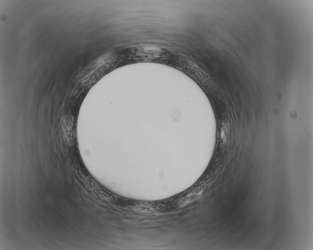 X0000085070867200704021408