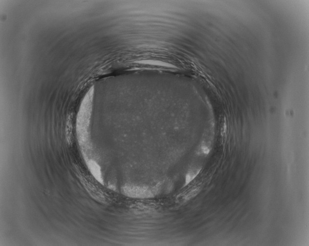 X0000085070868200704021408