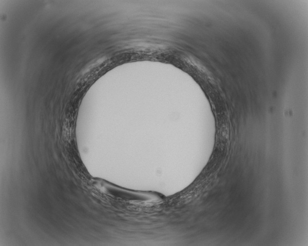 X0000085070869200704021408