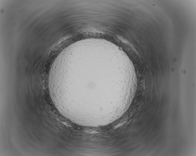 X0000085070870200704021408