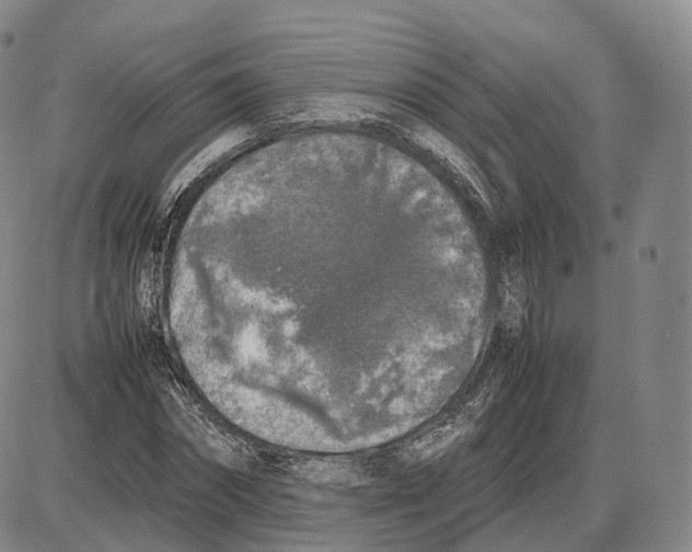 X0000085070874200704021408