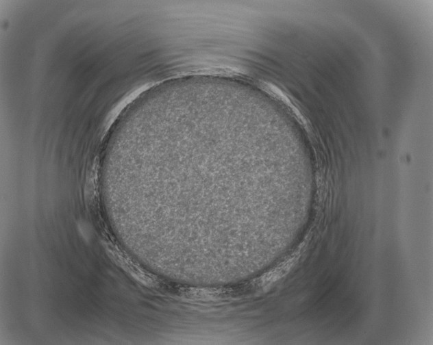 X0000085070875200704021408