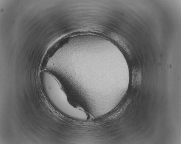 X0000085070876200704021408