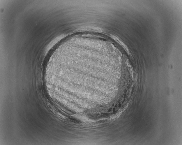 X0000085070877200704021408