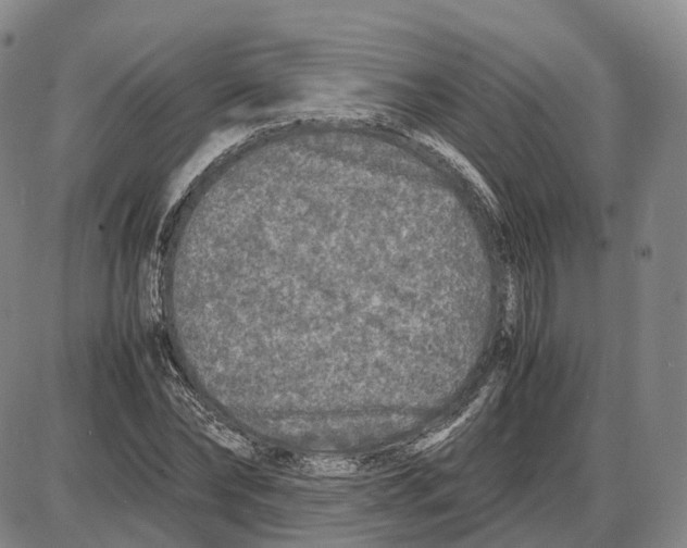 X0000085070878200704021408