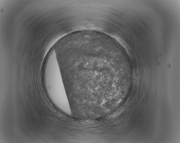 X0000085070879200704021408