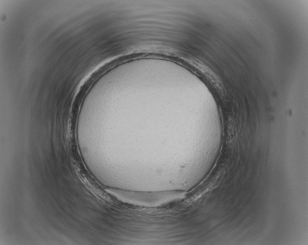 X0000085070880200704021408