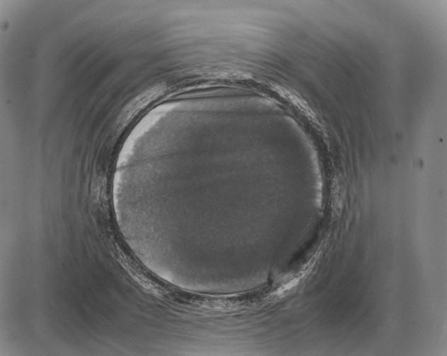 X0000085070881200704021408