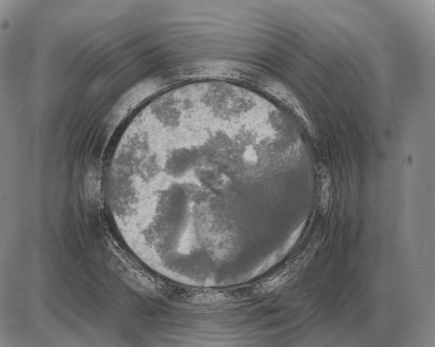 X0000085070882200704021408