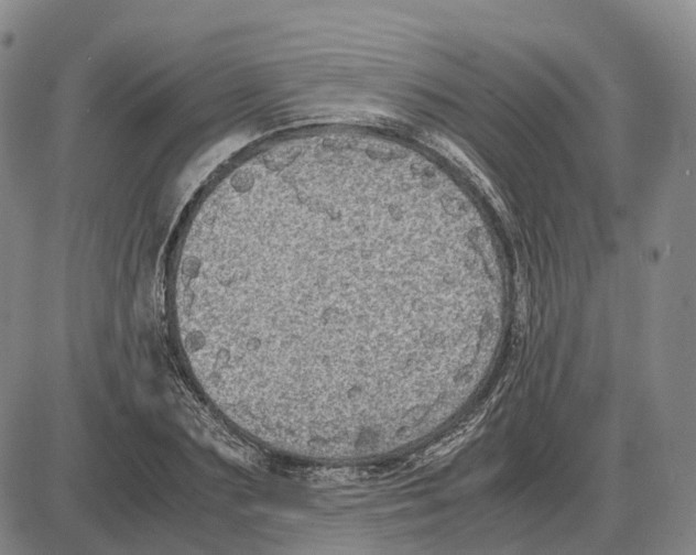 X0000085070883200704021408