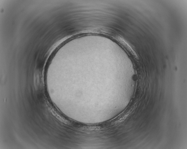 X0000085070884200704021408