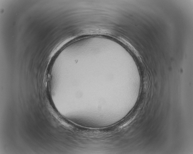 X0000085070885200704021408