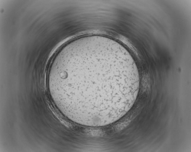 X0000085070886200704021408