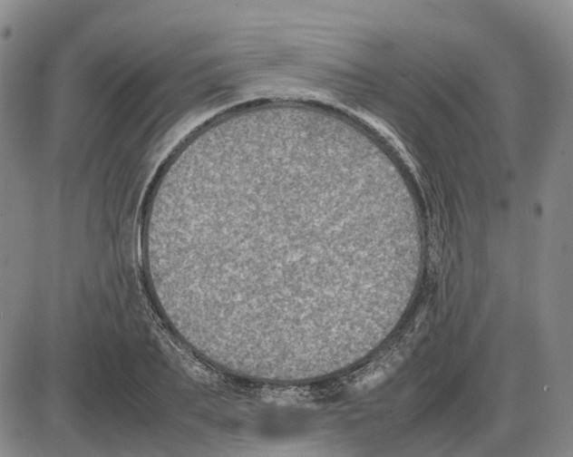 X0000085070887200704021408