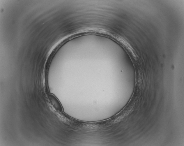 X0000085070888200704021408