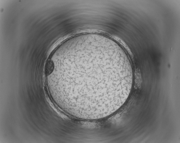 X0000085070890200704021408