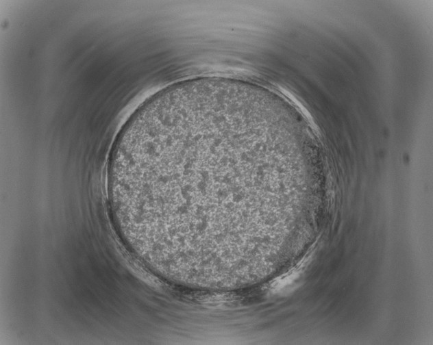 X0000085070891200704021408