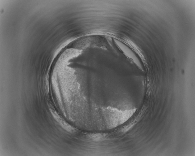 X0000085070892200704021408