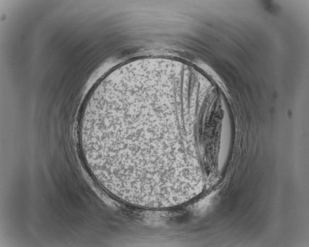 X0000085070893200704021408