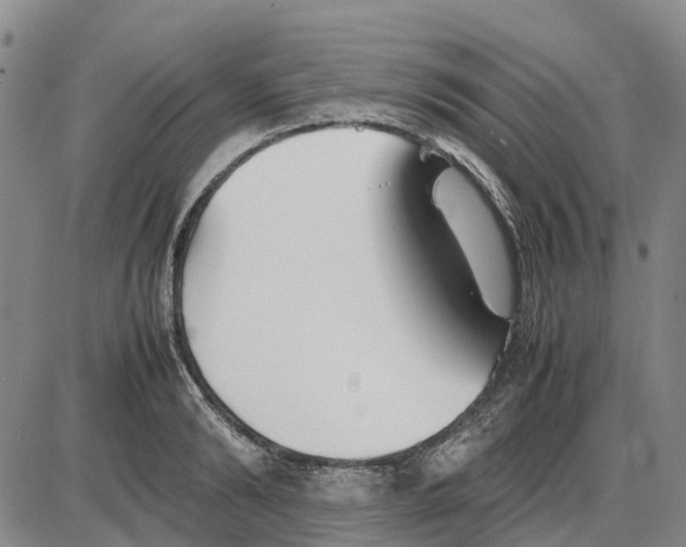 X0000085070894200704021408