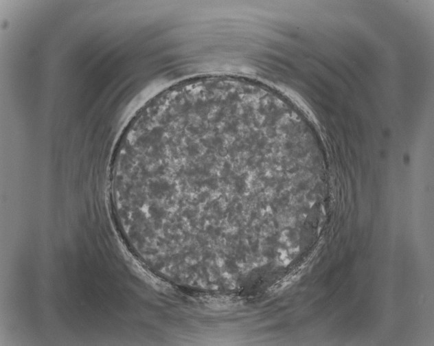 X0000085070895200704021408