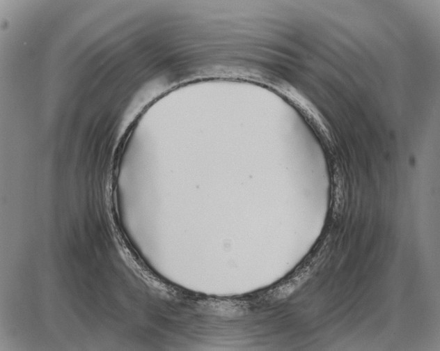 X0000085070896200704021408