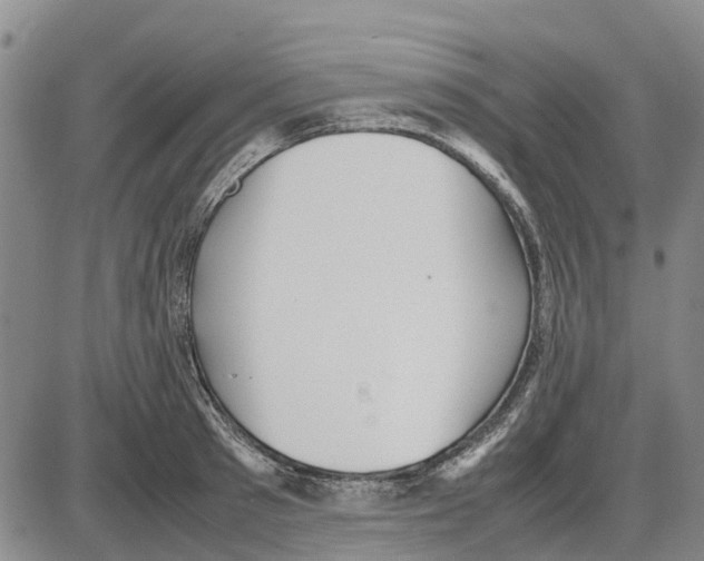 X0000085070897200704021408