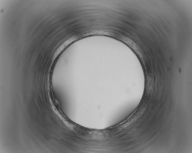 X0000085070898200704021408