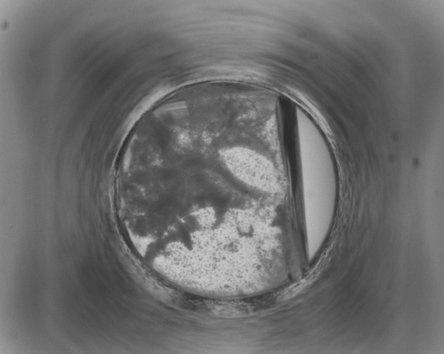 X0000085070899200704021408