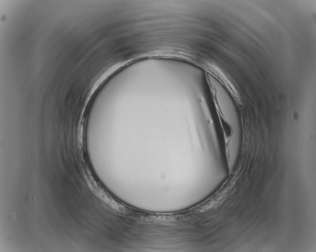 X0000085070900200704021408