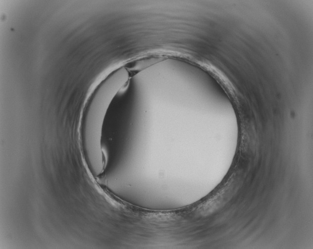 X0000085070902200704021408