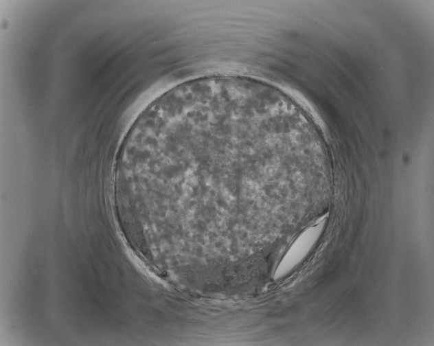 X0000085070903200704021408