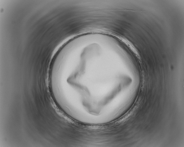 X0000085070904200704021408