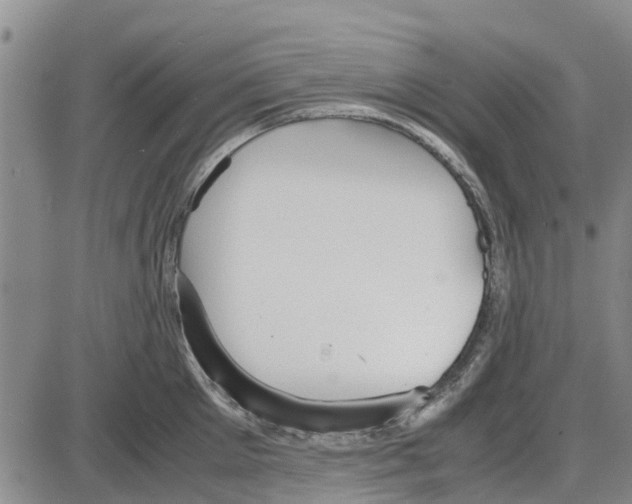 X0000085070905200704021408