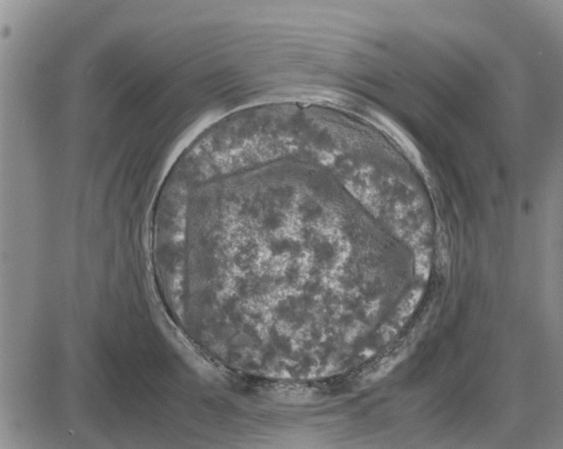 X0000085070907200704021408