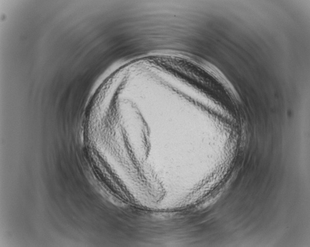 X0000085070908200704021408