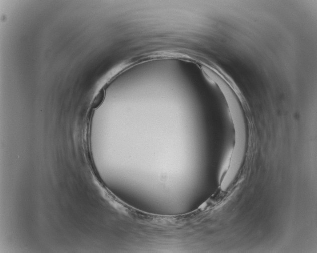 X0000085070909200704021408