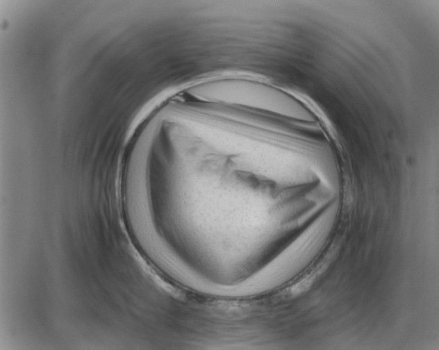 X0000085070910200704021408