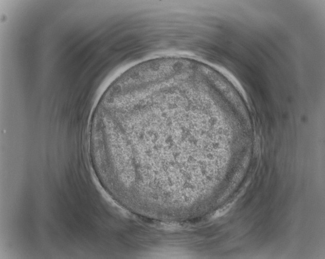 X0000085070911200704021408