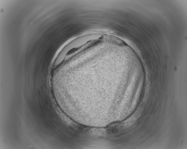 X0000085070912200704021407