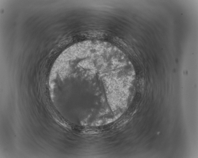 X0000085070913200704021407